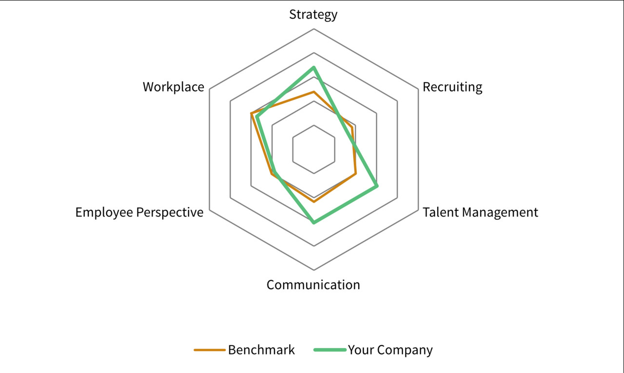 Spider web graphic with inscription: strategy, recruiting, talent management, communication, employee perspective, workplace