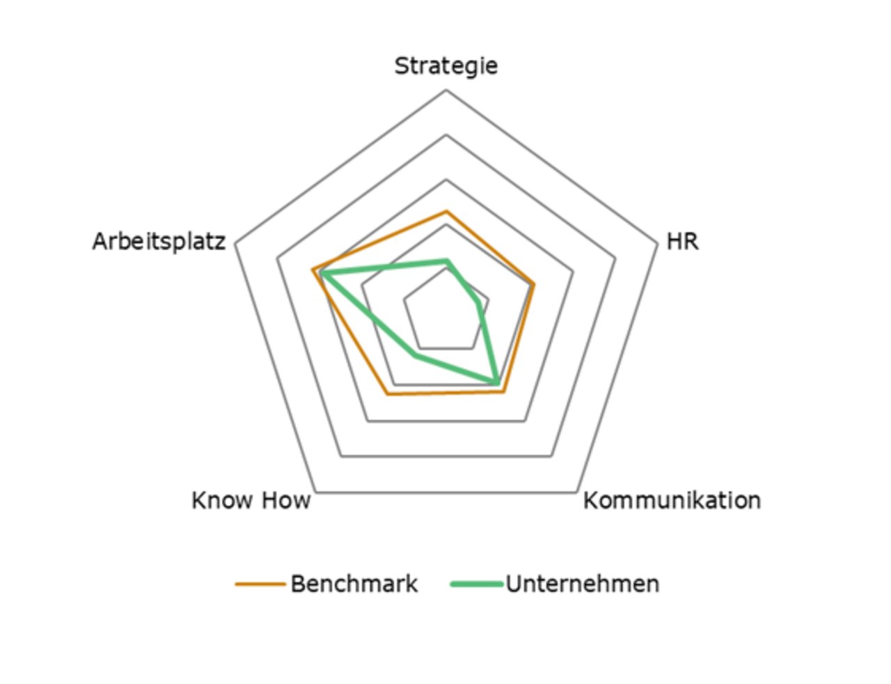 Spinnennetz-Grafik mit der Aufschrift: Strategie, HR, Kommunikation, Know How, Arbeitsplatz