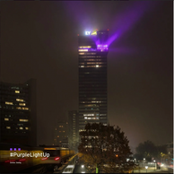 Hochhaus in Wien. Aus einer der oberen Etagen strahlt lila Licht. Logo von EY an der Spitze.