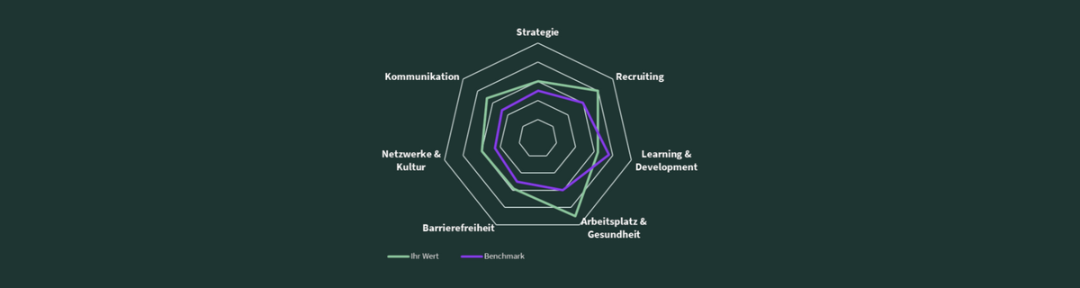 Radar-Diagramm zu Handlungsdimensionen: Strategie, Recruiting, Learning & Development, Arbeitsplatz & Gesundheit, Barrierefreiheit, Netzwerke & Kultur und Kommunikation; Vergleich „Ihr Wert“ (grün) und „Benchmark“ (lila) zeigt unterschiedliche Ausprägungen je Dimension.